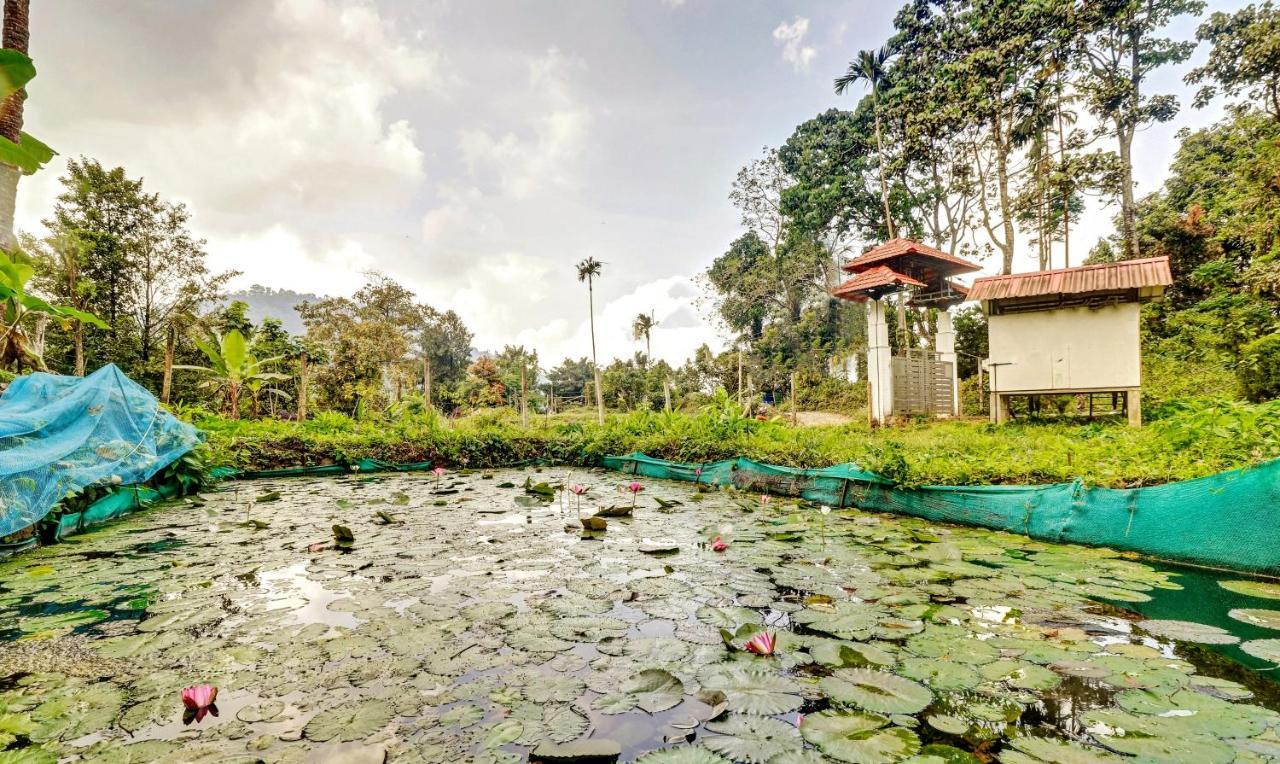 Treebo Tryst Jathika Resorts Kozhikode Exterior foto